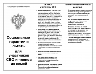 социальные гарантии и льготы для участников СВО и членов их семей - 2 социальные гарантии и льготы для участников СВО и членов их семей - фото - 2