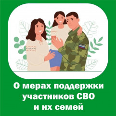 меры социальной поддержки для участников СВО и членов их семей - фото - 1