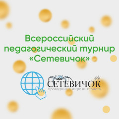 всероссийский проект «Сетевичок» - фото - 1